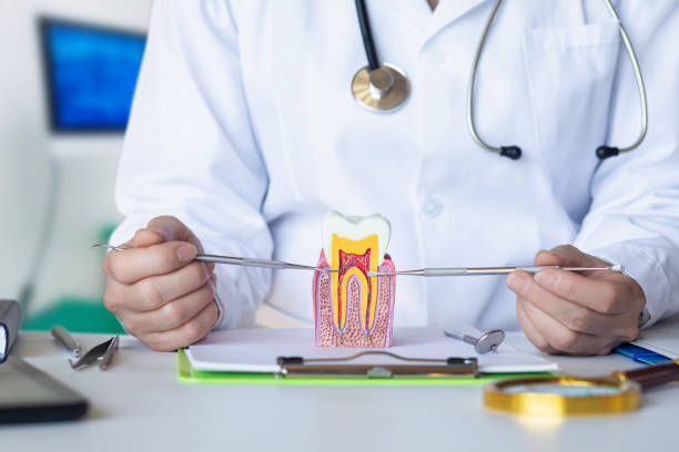 Best Emergency Root Canal Treatment in Fort Calhoun, NE
